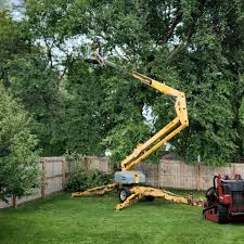Best Tree and Shrub Care  in Brentwood, MO