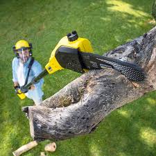 Best Tree Removal  in Brentwood, MO