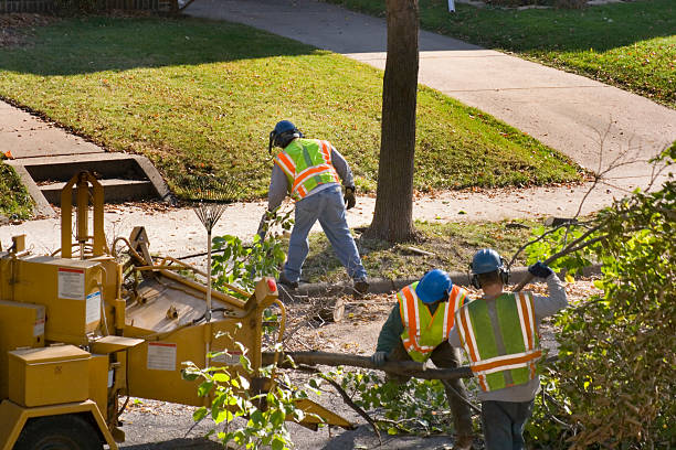 Best Pest Control for Lawns  in Brentwood, MO