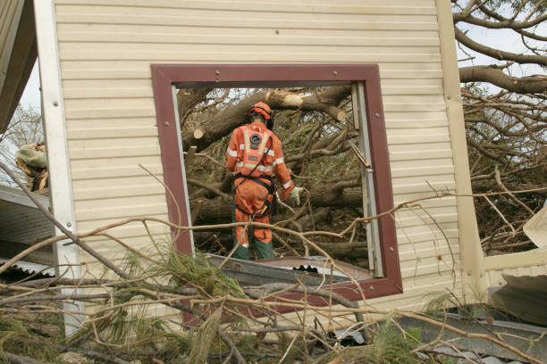 Best Tree Preservation Services  in Brentwood, MO